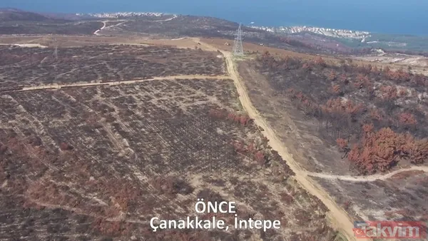 CHP ve yandaşı medyanın yangınlar üzerinden kirli algı oyunu çöktü: 'Otel yapacaklar' dedikleri alanlar tek tek yeşillendirildi - 15