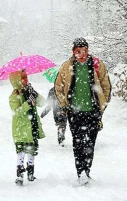 Van'da eğitime kar engeli