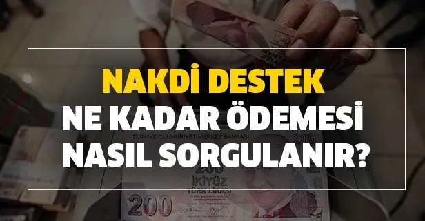Nakdi destek ne kadar ödemesi nasıl sorgulanır?