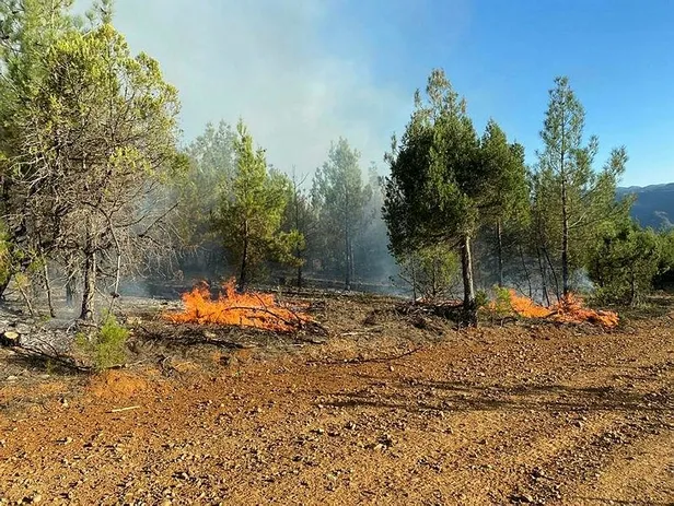 adanada-orman-yangini-10-dekarlik-alan-kul-oldu-1664644847212.jpeg Adana'da orman yangını! 10 dekarlık alan kül oldu-1