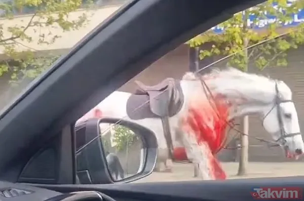 Öfkeli beş Kraliyet atı Londra’yı birbirine kattı! Kaçak atlardan biri sabıkalı çıktı: Kral Charles’ın taç giyme töreninde kafaya tekme - 4