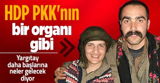 Yargıtay’dan HDP/PKK açıklaması