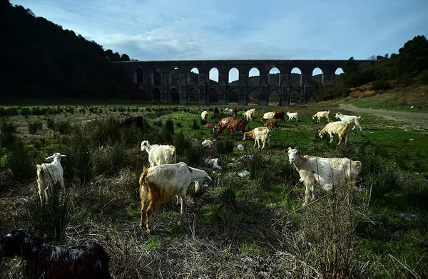 Uzman isimden korkutan açıklama: Barajları yüzde 100 doluluğa ulaştıramazsak...-2