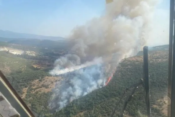 Balıkesir’de orman yangını