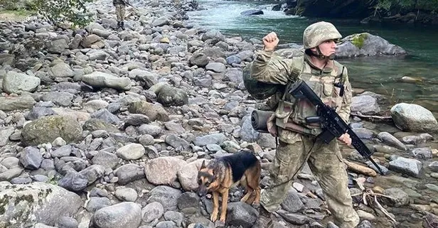 MSB duyurdu: 2 terörist Yunanistan sınırında enselendi!