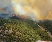 Manisa Akhisar’da orman yangını