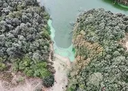 İstanbulda baraj doluluk oranında son durum ne? Yağışlar su seviyesini yükseltti mi? İşte son 15 yılın oranları