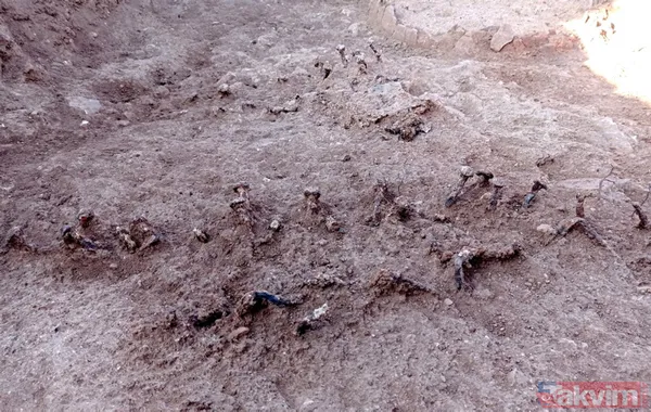 Tam 1500 yıllık! Perre Antik Kenti'nde gizemli tarihi yapı keşfedildi - 18