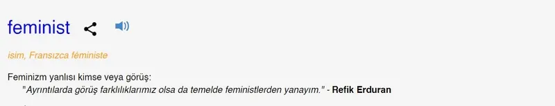 feminist-ne-demek-feminist-kelimesi-tdk-sozluk-anlami-nedir-1714075370396.jpg
