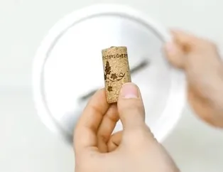 Mantarla bakın neler yaptı