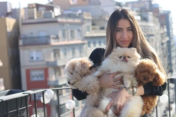 1634990029755.jpeg Zeynep Doğa Yaman: Pomeranian Boo cinsi en az yiyecek tüketen cinstir-1