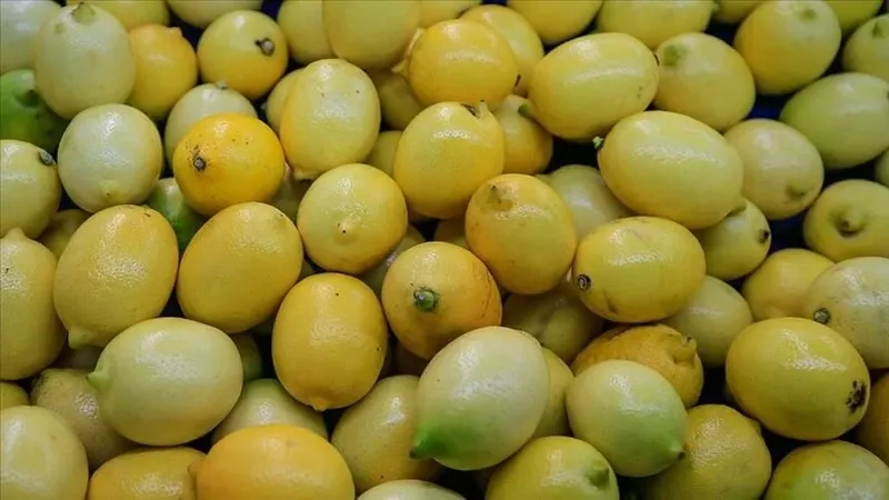 muza-birkac-damla-limon-sikin-o-sorunu-kokunden-cozup-sizi-kurtaracak-1712344762943.jpeg O sorunu kökünden çözüp sizi kurtaracak: Muza birkaç damla limon sıkın!-2