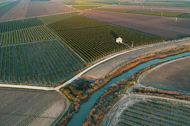Türkiye'de 2020 yılında 541 bin hektar alanda arazi toplulaştırması tamamlanacak