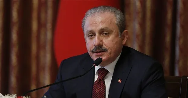 TBMM Başkanı Mustafa Şentop'tan Fransa Cumhurbaşkanı Macron'a Libya tepkisi