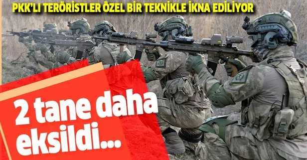 Terör örgütü PKK kurutuluyor... İkna edilen 2 PKK’lı terörist teslim oldu