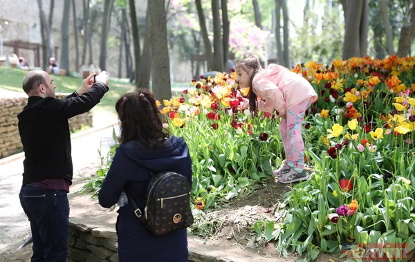 İstanbul Gülhane Parkı 10 katı ziyaretçi ağırladı! Laleler talan edildi - 1