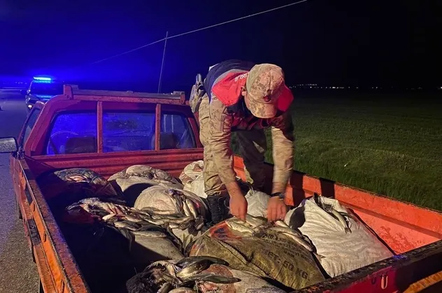 Van’da kaçak avlanan 1 ton inci kefali ele geçirildi