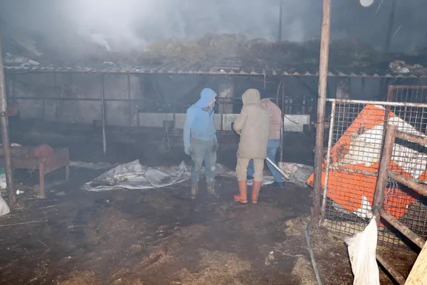 eskisehirde-turgutlar-mahallesinde-agilda-cikan-yangin-3-saatte-sonduruldu-50-hayvan-telef-oldu-800-bin-lira-z-1643191269907.jpg Eskişehir'de Turgutlar Mahallesi'nde ağılda çıkan yangın 3 saatte söndürüldü! 50 hayvan telef oldu 800 bin lira zarar-9