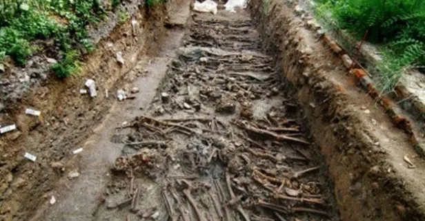 Tüyler ürperten hikaye: 600 köpek bu köprüden intihar etti... Overtoun Köprüsü’nün gizemi ne?