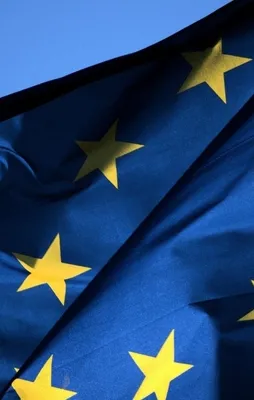 AB'den seçim açıklaması