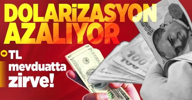 TL mevduatta tarihi zirve!