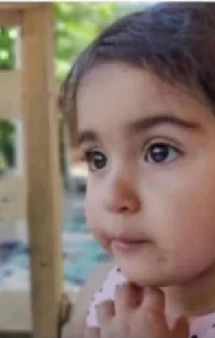 2,5 yaşındaki Merve'nin cansız bedeni arazide bulunmuştu! Otopsi raporu sonuçlandı: Midesinde çok sayıda...