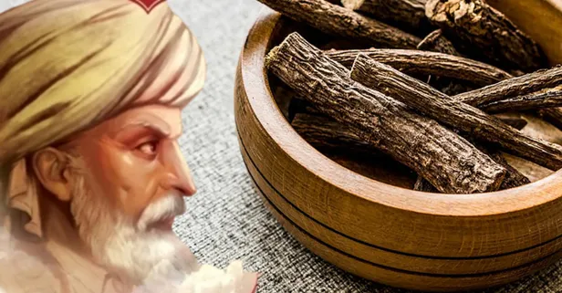 Evliya Çelebi açıkladı 60'dan fazla faydası var! Boğaz ağrısının, ülserin, bronşitin kökünü kazıyor! Yalnızca 1 bardağı bile...