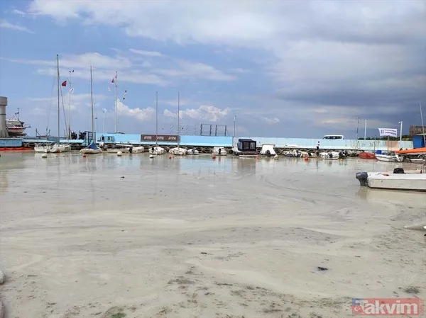 Caddebostan Sahili'nde müsilaj yoğunluğu arttı! Tabloya benzer görüntüler oluştu - 26