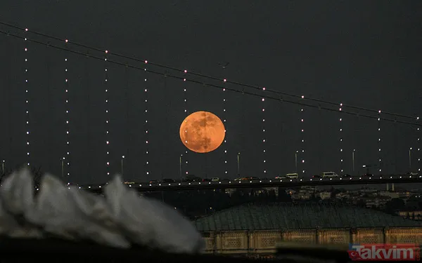 Kanlı AY tutulmasından etkilenen burçlar hangileri? 🌒 AY tutulması Boğa, Yay, Aslan, Koç, Balık, Akrep, İkizler nasıl etkilenecek? - 7