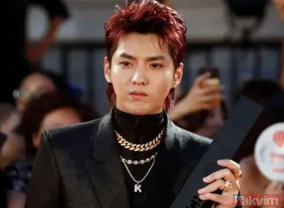 Ünlü şarkıcı hadım edilecek! Reşit olmayan kişilere cinsel istismardan 13 yıl hapis yatacak! Cinsel suçuna kimyasal ceza - 4