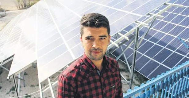 Güneş tarlası kurdu