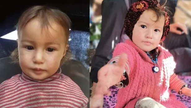 muslume nin uzerinde goruldu larva nedir insana nasil bulasir larva nasil olusur neden olur larvalar nerede yasar takvim