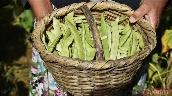 İster Öğle Yemeğinde Tek Başına, İster Akşam Yemeğinde Meze Olarak Sunun Taze Fasulye Her Haliyle Çok Seviliyor. Üstelik Oldukça Pratik Ve Az Malzemeyle...