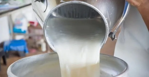 2019 Çiğ Süt Destek ödemesi ne kadar, yapıldı mı - Çiğ Süt Destek ödemesi başvuru şartları kimler alabilir