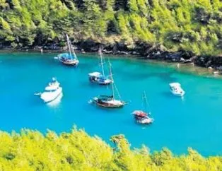 Bodrum’da tonoz savaşı