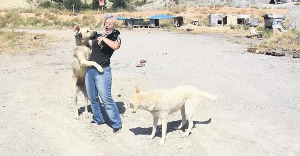 Hayvansever Aysun Bekar’ın çenesini kıran sanığa iyi hal indirimi