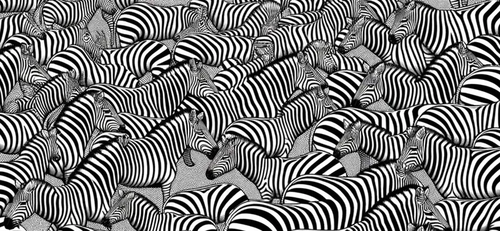 ustun-zeka-testi-zebralarin-icinde-hangi-hayvan-var-gizli-hayvani-bulan-dahi-ruhlu-cikiyor-1705408381305.jpg Zeka testi: Zebraların içinde hangi hayvan var? Gizli hayvanı bulan dahi ruhlu çıkıyor-3