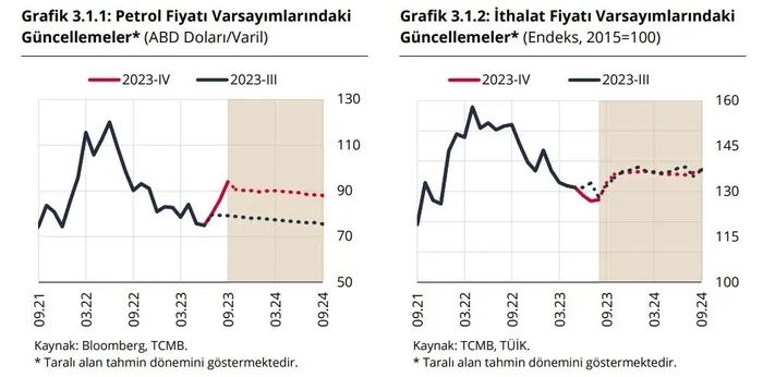 TCMB Başkanı Hafize Gaye Erkan'dan flaş enflasyon açıklaması: "İyileşme sağlanana kadar tüm araçlarımızı kararlılıkla kullanmaya devam edeceğiz"-4