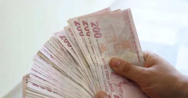 Yeni mevduat faizi oranları 2024: Hangi banka, kaç para faiz veriyor? Yüzde 50, 52 53 faiz var