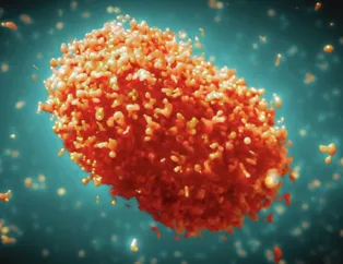 Ankara’da maymun çiçeği karantinası mı var? Sağlık Bakanlığı iddiayı yalanladı