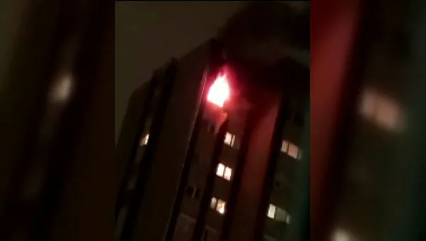 1649839919748.jpg Koli bantlı dehşette şoke eden gelişme! Evde "Şeytani tavsiyeler" isimli kitap bulunmuştu-2