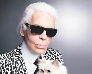 Moda dünyasının efsane ismi Karl Lagerfeldın mirası kedisine kaldı! Paris Hilton kedinin peşine düştü