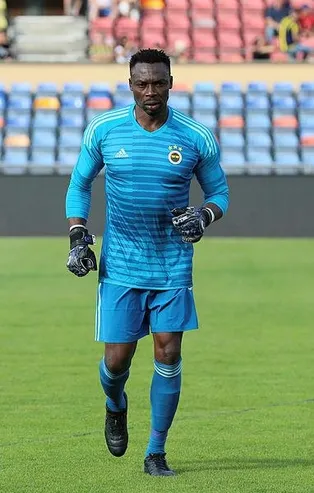 Kameni fiyaskosu