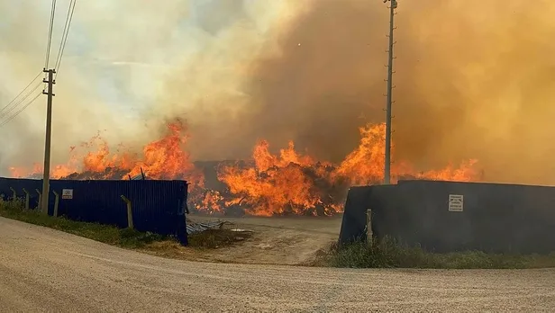 afyonkarahisarda-biyokutle-enerji-santralinde-yangin-1621349918750.jpeg Afyonkarahisar'da biyokütle enerji santralinde yangın!-2