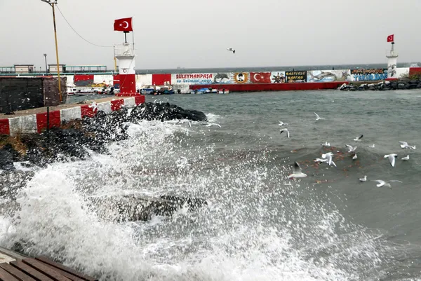 2-aralik-persembe-hava-durumu-meteorolojiden-kar-ve-firtina-uyarisi-istanbula-kar-yagacak-mi-1638415478116.jpg 2 ARALIK PERŞEMBE HAVA DURUMU | Meteoroloji'den kar ve fırtına uyarısı! İstanbul'a kar yağacak mı?-14