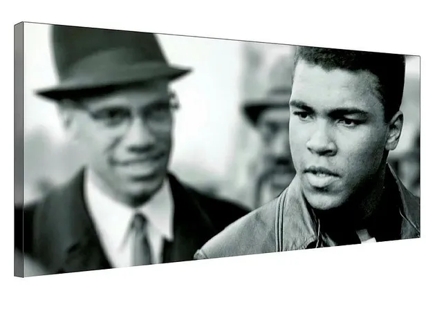 malcolm-xin-avukatlarindan-carpici-iddia-cinayetle-ilgili-yeni-delillere-ulasildi-1613947439849.jpeg Malcolm X'in avukatlarından çarpıcı iddia: Cinayetle ilgili yeni delillere ulaşıldı-5