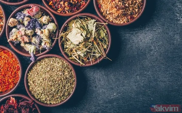 İftar sonrası mideyi rahatlatan doğal yöntem: Demirhindi şerbeti hazımsızlığa çözüm oluyor - 9