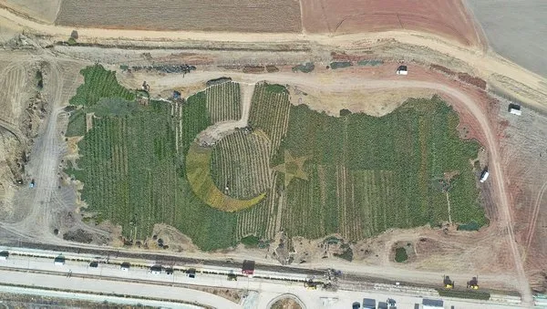 son-dakika-baskan-erdogandan-gelecege-nefes-dunyaya-nefes-programinda-onemli-aciklamalar-1605088963025.jpg Son dakika: Başkan Erdoğan'dan "Geleceğe Nefes, Dünyaya Nefes" programında önemli açıklamalar-3