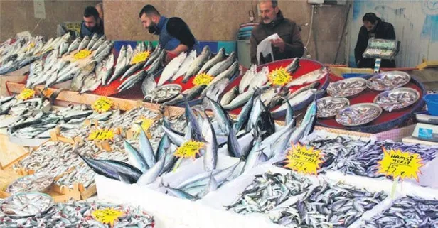 Balık fiyatları el yakıyor! Hamsi halde 15 tezgahta 35 restoranda 80 TL