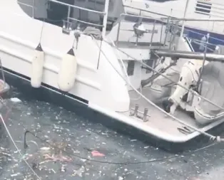 ‘Arnavutköy’ün haline bak’